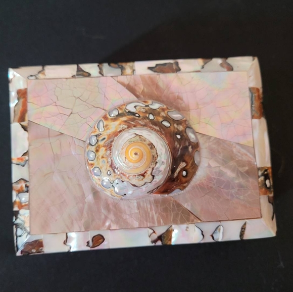 Turbo Tiger Shell Vintage Penshell Box - Picture 7 of 11